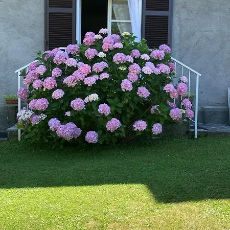 La Ca Del Bicc